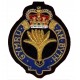 Welsh Guard Blazer Badge